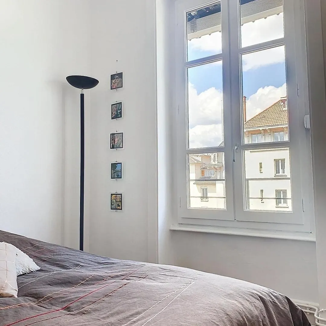 Appartamento Spacieux T3 80M2 Plein Centre Presque Ile ! Lione