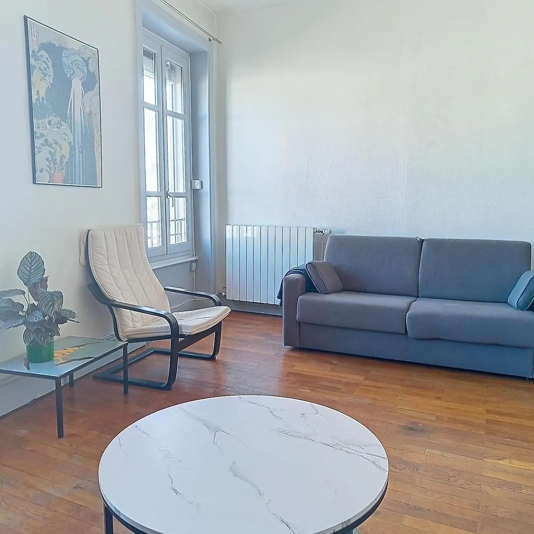 Spacieux T3 80M2 Plein Centre Presque Ile ! リヨン 0*,