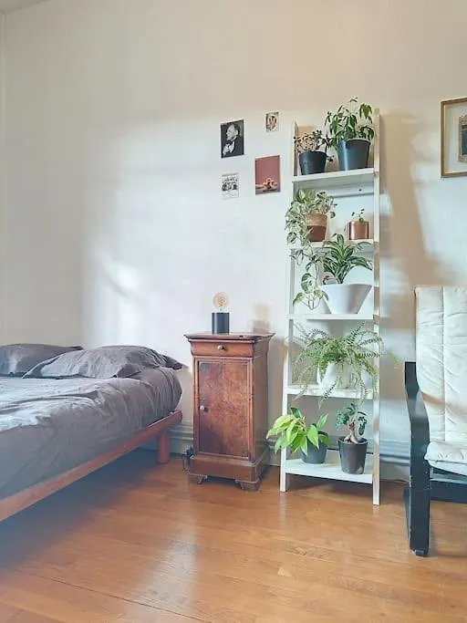 Spacieux T3 80M2 Plein Centre Presque Ile ! リヨン アパート