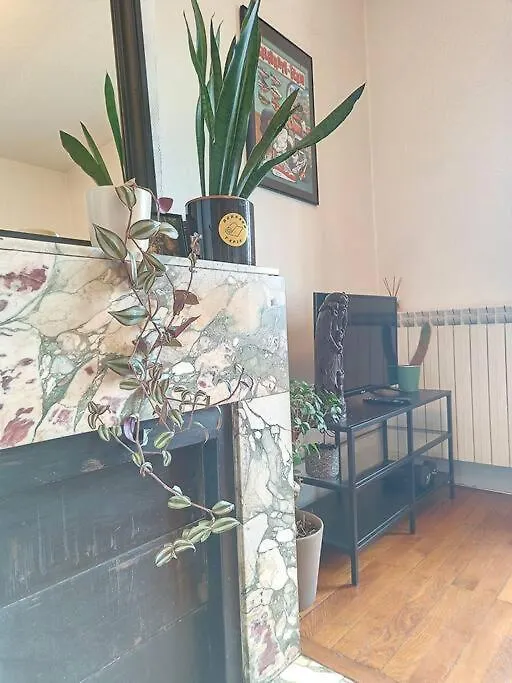 Spacieux T3 80M2 Plein Centre Presque Ile ! リヨン 0*,